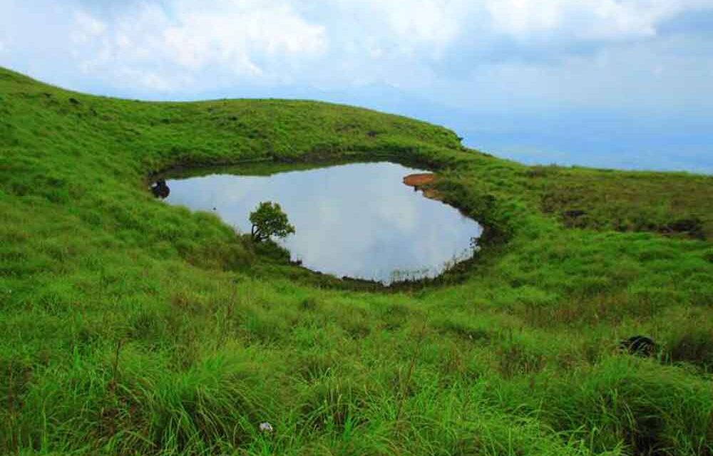 Wayanad: A Journey Through Nature, Culture, and Cuisine