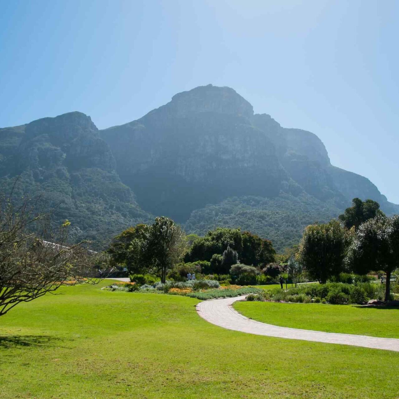 https://wayanadstays.com/wp-content/uploads/2018/09/tour-capetown-03-1280x1280.jpg