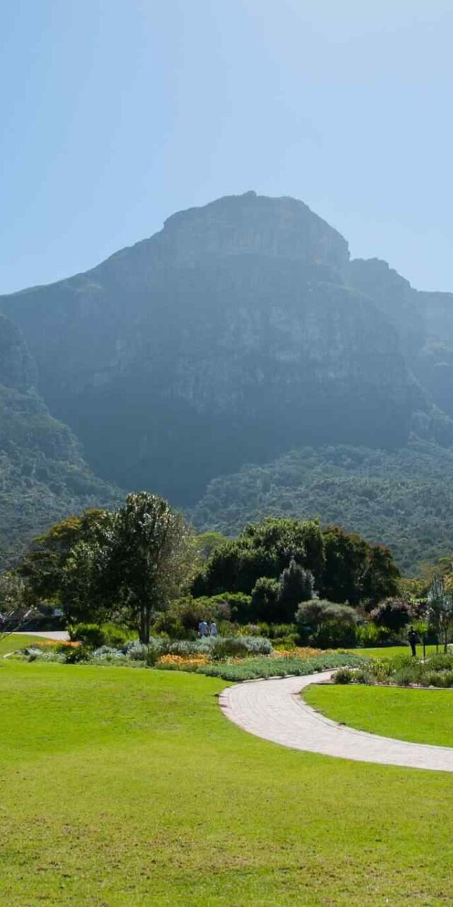 https://wayanadstays.com/wp-content/uploads/2018/09/tour-capetown-03-640x1280.jpg