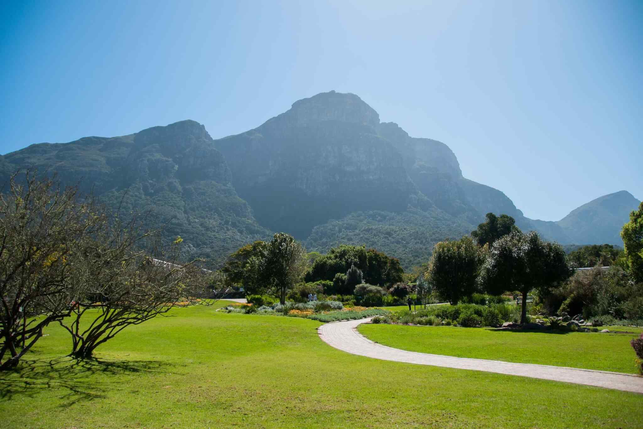 https://wayanadstays.com/wp-content/uploads/2018/09/tour-capetown-03.jpg