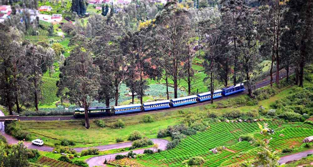 Ooty: The Queen of Hill Stations